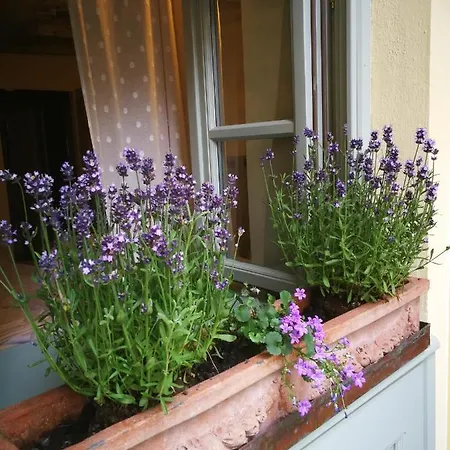 Corte Delle Camelie 4*