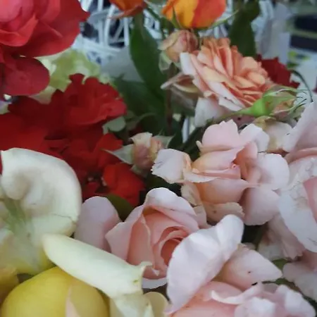 Corte Delle Camelie Alojamento de Acomodação e Pequeno-almoço 4*