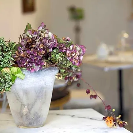 Bed & Breakfast Corte Delle Camelie Turijn