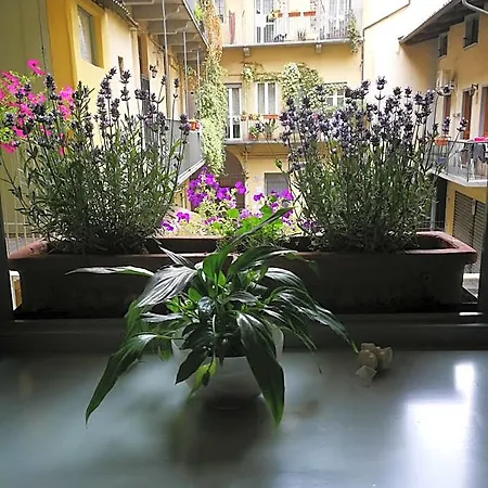 Corte Delle Camelie