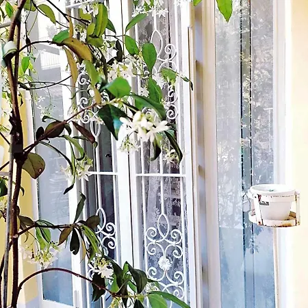 Bed & Breakfast Corte Delle Camelie 4*