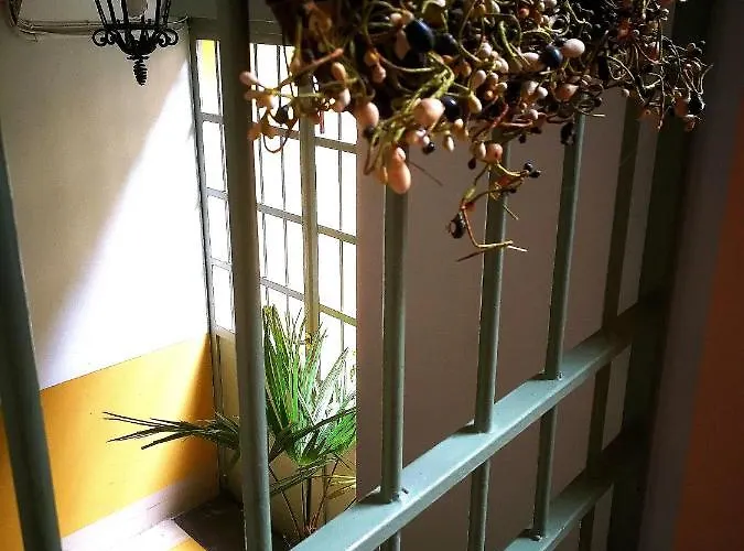 Bed & Breakfast Corte Delle Camelie