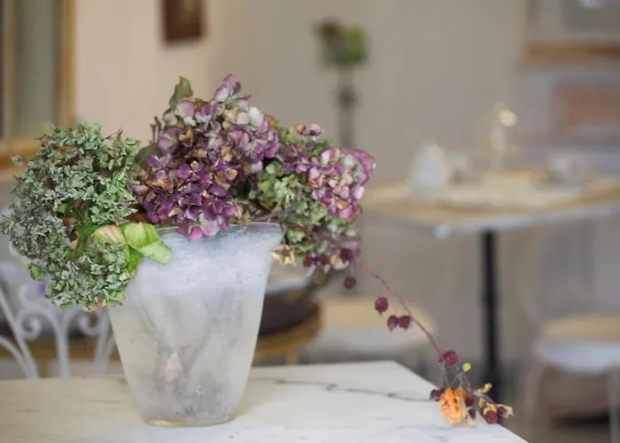 Bed & Breakfast Corte Delle Camelie