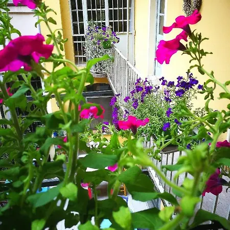 Casa Del Cuore טורינו