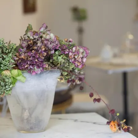 Bed & Breakfast Corte Delle Camelie