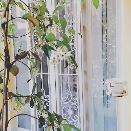 לינה וארוחת בוקר Casa Del Cuore