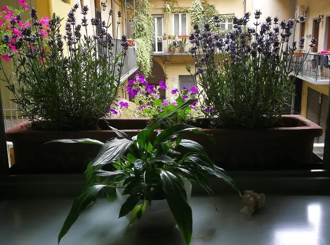 Corte Delle Camelie Bed & Breakfast